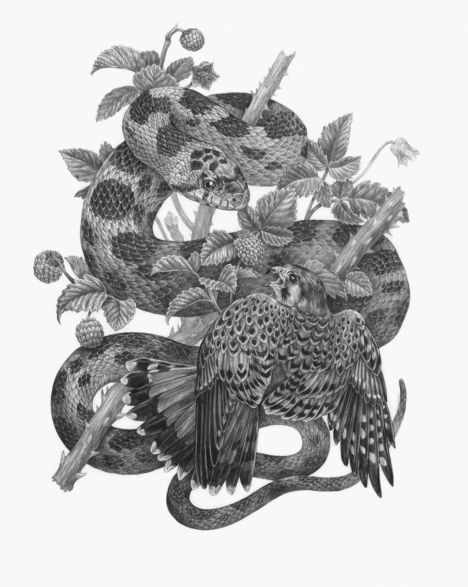 Home — Zoe Keller Nature Art